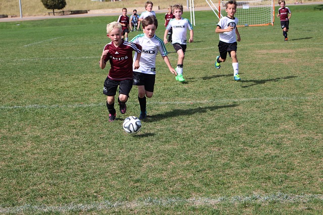 更是文化交 更是文化交