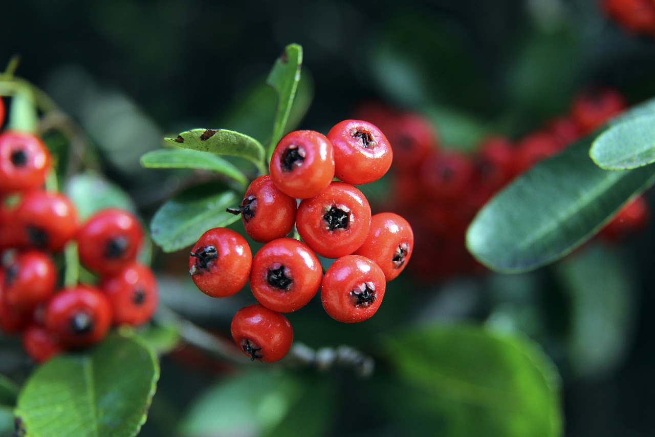 协作力的绝 协作力的绝